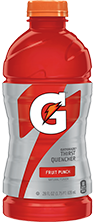 Gatorade Fruit Punch