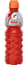 Gatorade Fruit Punch