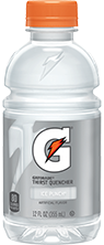 Gatorade Ice Punch